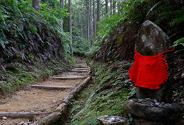 イメージ画像：教育旅行プログラム