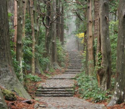 【KUMAKUMA取材部】熊野古道のプロに聞く!イチオシ世界遺産スポット -那智勝浦町編 【KUMAKUMA取材部】熊野古道のプロに聞く!イチオシ世界遺産スポット -那智勝浦町編