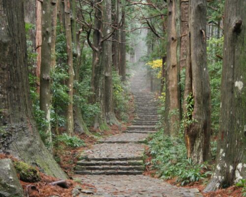 【KUMAKUMA取材部】熊野古道のプロに聞く!イチオシ世界遺産スポット -那智勝浦町編 【KUMAKUMA取材部】熊野古道のプロに聞く!イチオシ世界遺産スポット -那智勝浦町編