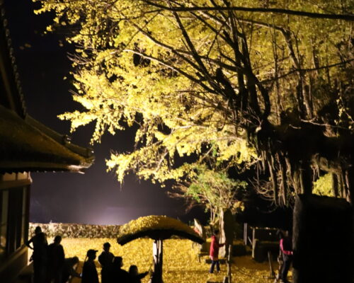 【イベント情報】 2025年10月以降 イベントまとめ 【イベント情報】 2025年10月以降 イベントまとめ