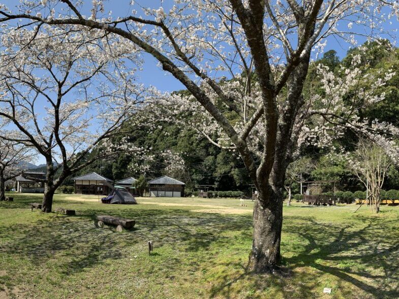 おとなしの郷 WATAZE OUTDOOR(キャンプ)_キャンプ場5