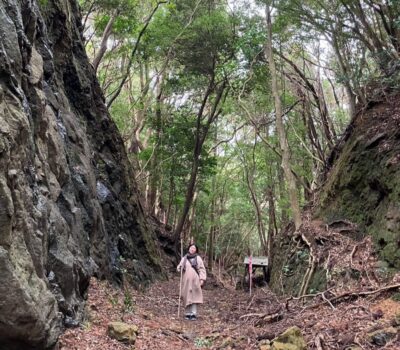 甲斐みのりと行く熊野古道「大辺路」 甲斐みのりと行く熊野古道「大辺路」
